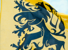N-VA Hemiksem beloont inwoners die Vlaamse leeuw uithangen