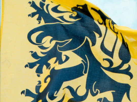 N-VA Hemiksem beloont inwoners die Vlaamse leeuw uithangen N-VA Hemiksem beloont inwoners die Vlaamse leeuw uithangen